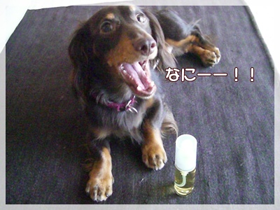 souther_20090829g