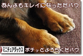 �ˤۤ�֥���¼ ���֥��� �ߥ˥��奢���å����ե�ɤ�