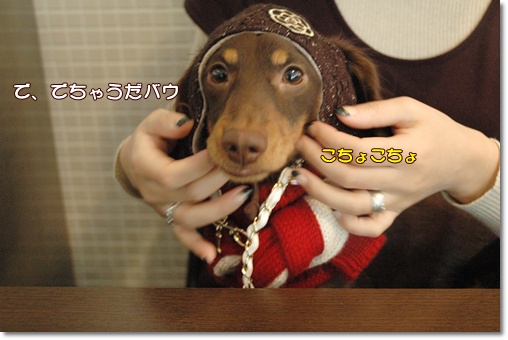 souther_20091224j
