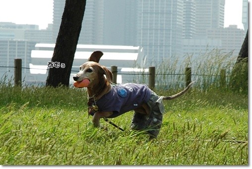 souther_20110511c