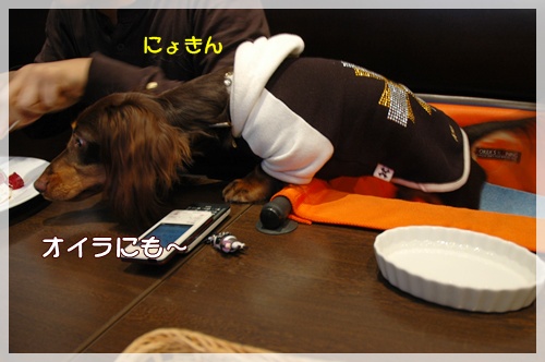 souther_20091024g