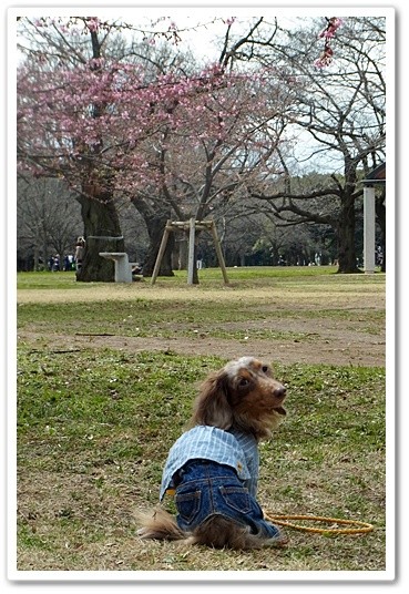 souther_20120331k
