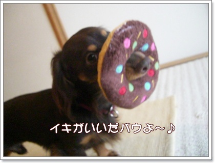 souther_20090626k
