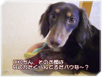 souther_20090228a
