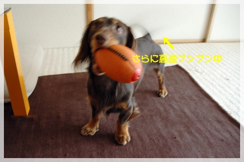 souther_20091016k