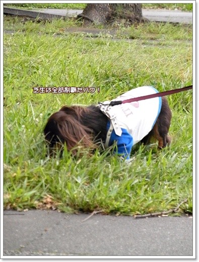 souther_20111113i