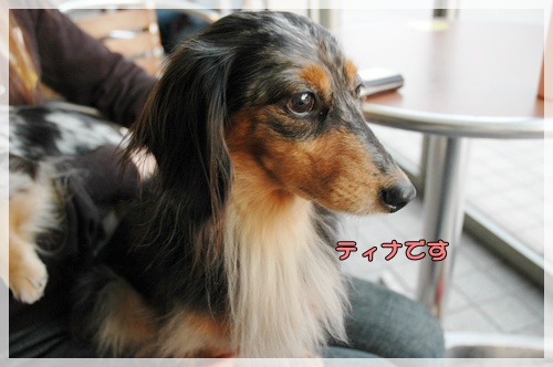 souther_20091111c