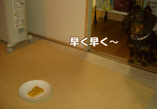 souther_20081228b