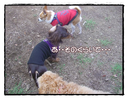 souther_20090331f