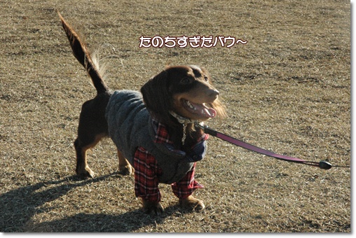 souther_20091226g