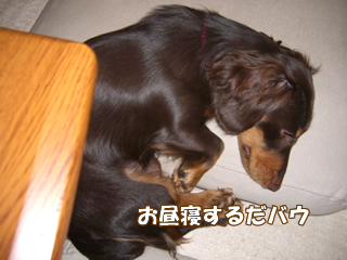 souther_20081112k
