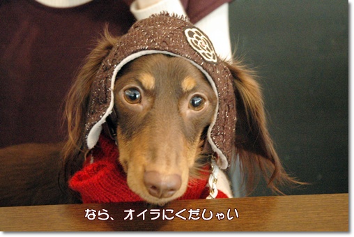 souther_20091224m