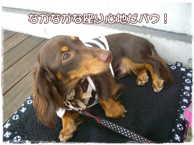 souther_20090708e