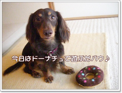 souther_20090626a