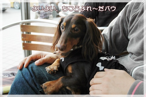 souther_20091111d