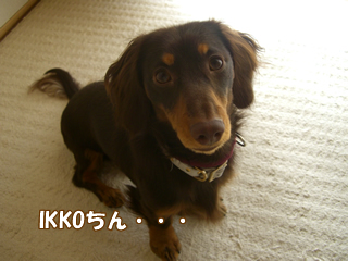 souther_20081227a