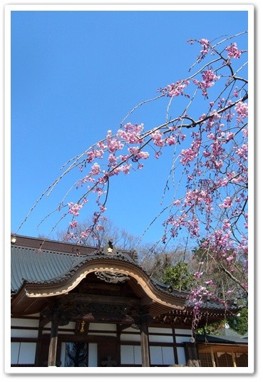 souther_20120424g
