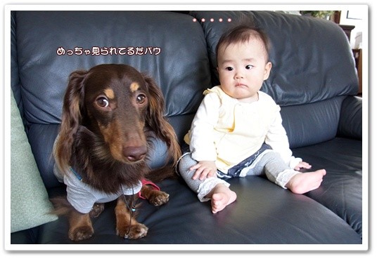 souther_201205011g