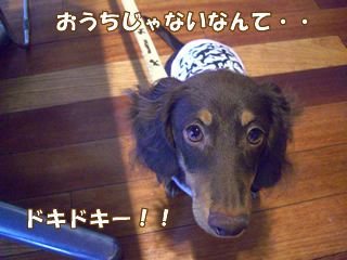 souther_20081115h
