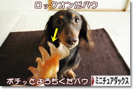 �ˤۤ�֥���¼ ���֥��� �ߥ˥��奢���å����ե�ɤ�