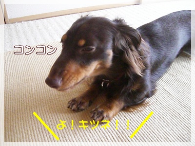 souther_20090630h