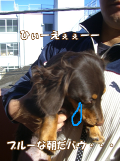 souther_20081206c