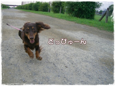 souther_20090706h