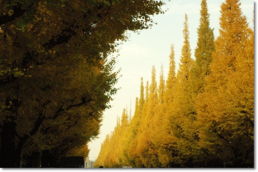 souther_20091129a