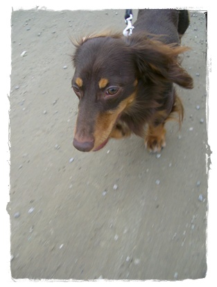 souther_20090706k