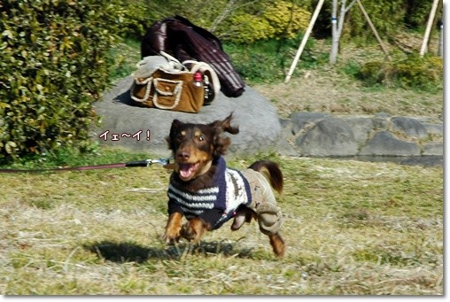 20110226a