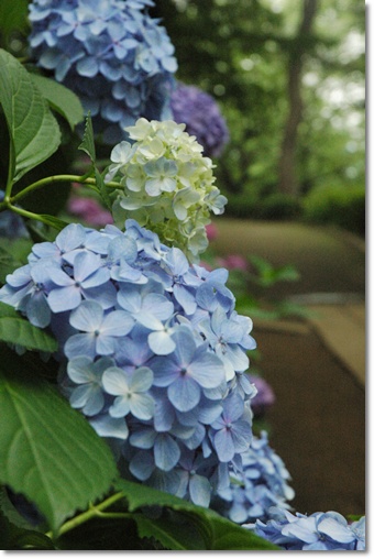 souther_20100706e