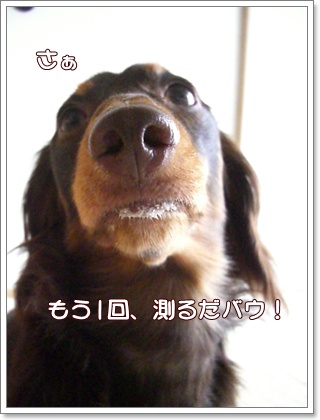souther_20090604m