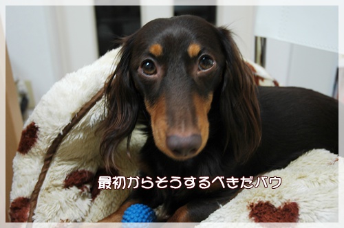 souther_20091112d