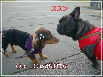 souther_20090225h