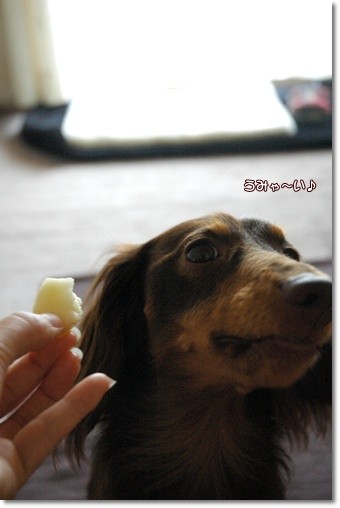 souther_20110523d