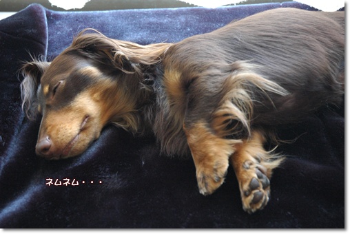 souther_20100529c