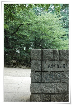 souther_20100706a