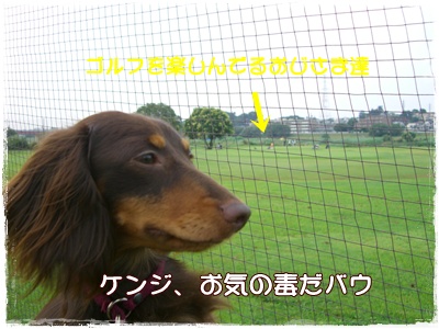 souther_20090706e