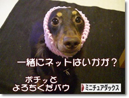 ˤ֥ۤ¼ ֥ ߥ˥奢åեɤ