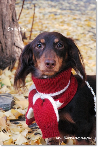 souther_20091202d