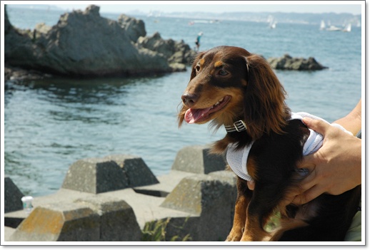 souther_20100822a