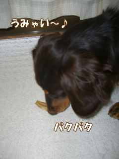 souther_20081124h