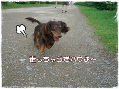 souther_20090706f