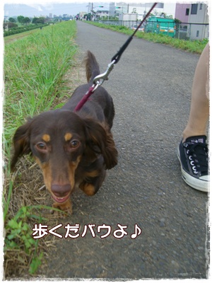 souther_20090706b