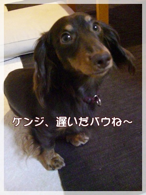 souther_20090731a