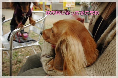 souther_20091027g
