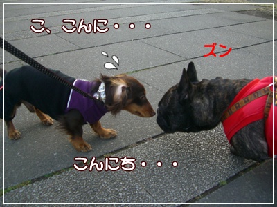 souther_20090225g