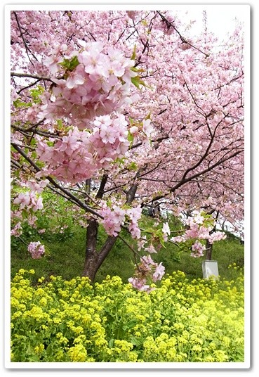 souther_20120410a