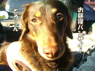 souther_20081201
