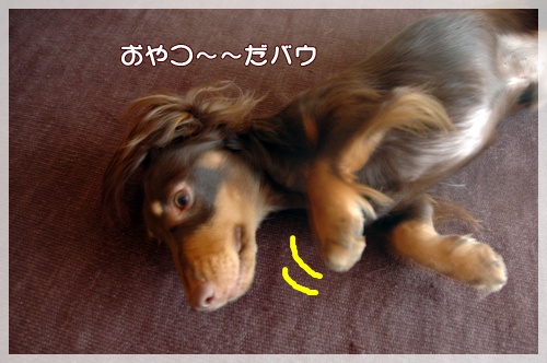 souther_20091021g